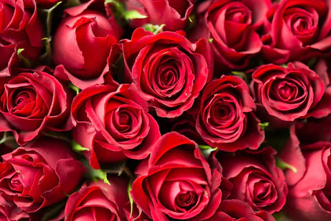 Fragancias de alta perfumería y muestras de perfumes con notas de rosa.