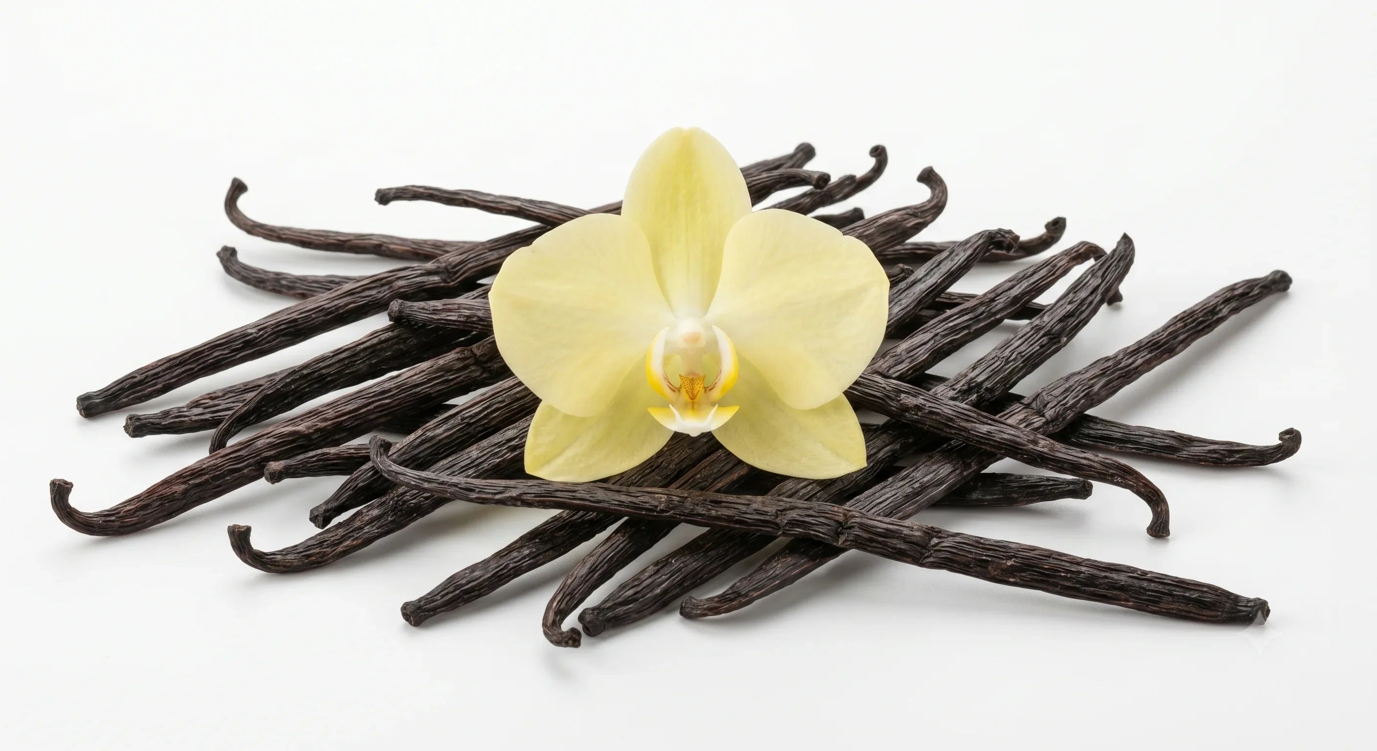 Selección de perfumes orientales y decants con notas dominantes de vainilla.