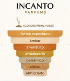 Acordes principales del perfume Paradigme con notas frescas especiadas, ámbar, aromáticas, amaderadas, balsámicas, cítricas y almizcladas.