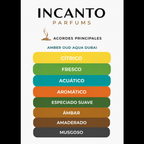 DECANT AMBER OUD AQUA DUBAI