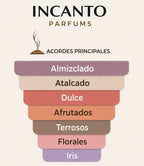 Muestra en formato decant de la fragancia de lujo Accento de Xerjoff sobre fondo luminoso.