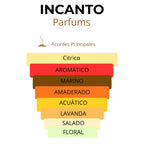 Notas olfativas de Dreams Go Far: acordes marinos, lima, jengibre y maderas blancas.