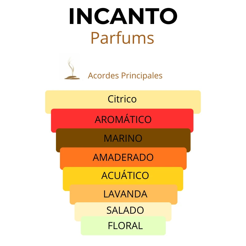 Notas olfativas de Dreams Go Far: acordes marinos, lima, jengibre y maderas blancas.