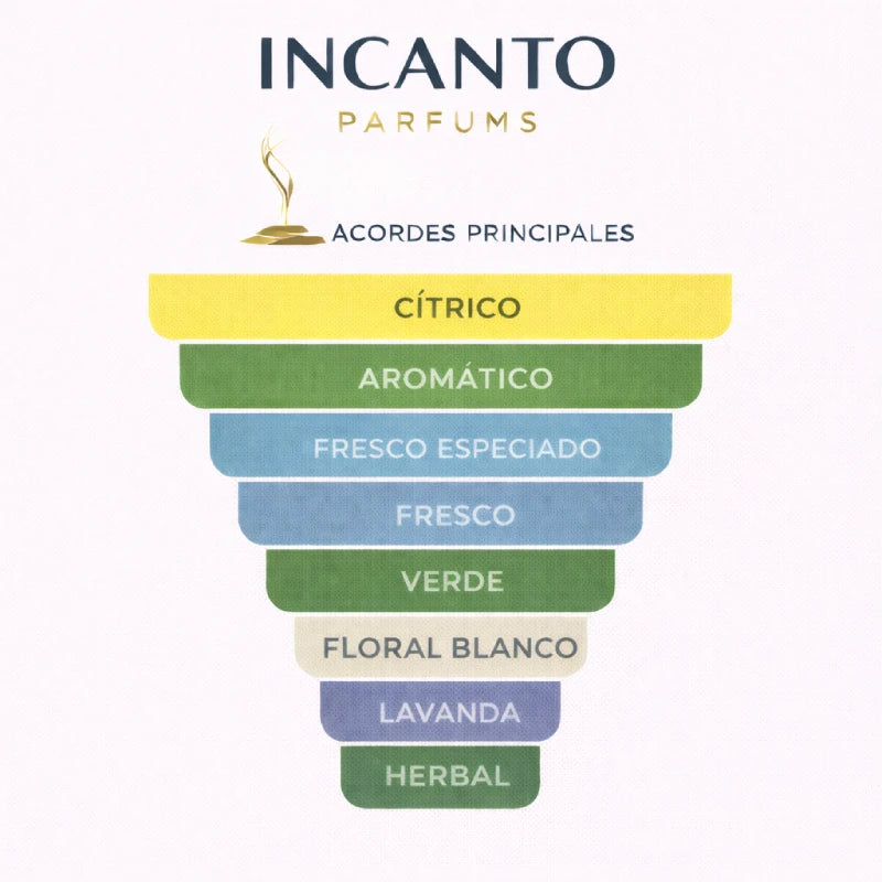 Notas de 4711: aceites esenciales de cítricos, romero, lavanda y neroli tradicional.