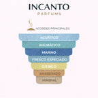 Notas olfativas de Acqua di Giò Profondo: esencias marinas, mandarina verde y romero.