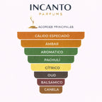 Pirámide olfativa Black Onyx Armaf: cardamomo, canela, rosa y notas de incienso oscuro.