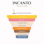 Ingredientes: manzana verde, pomelo, rosa, canela y almizcle.