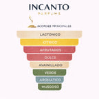 Composición de Baby Touch: notas de mandarina, ruibarbo, vainilla y leche de almendras.