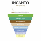 Notas olfativas de CK Be: lavanda, menta verde, magnolia y fondo de almizcle blanco.