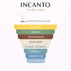 Notas de CK One: bergamota, piña, jazmín y té verde refrescante.