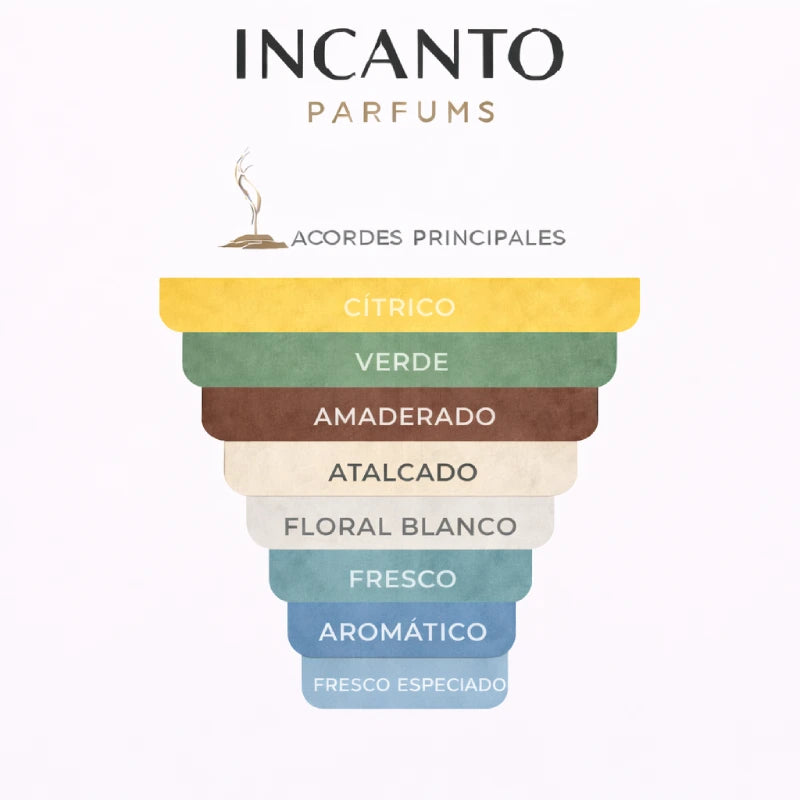 Notas de CK One: bergamota, piña, jazmín y té verde refrescante.