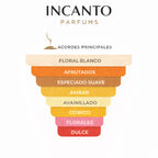 Pirámide olfativa The One: notas de melocotón, lichi, azucena blanca, ámbar y vainilla.