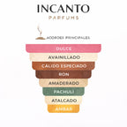 Notas de December Vanilla: representación de vainilla gourmet, ron y azúcar tostada.