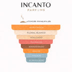 Notas de Ferragamo Incanto: melocotón, ciruela, peonía, jazmín y sándalo blanco.