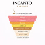 Notas de Infini Rose: rosa de mayo, bergamota, pimienta rosa y ámbar cálido.