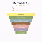 Ingredientes de L'Eau d'Issey: yuzu japonés, notas de loto y maderas preciosas.