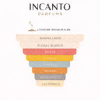 Notas de Classique Essence: jengibre picante, flor de azahar, crema batida y maderas blancas.