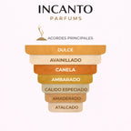 Notas de Le Male Elixir: visualización de miel, tabaco y haba tonka sobre fondo dorado.