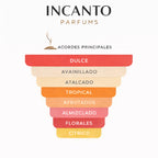 Notas de Lattafa Yara: orquídea, heliotropo, notas gourmet y vainilla cremosa.