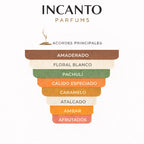 Pirámide olfativa Yara Moi: jazmín, melocotón, caramelo salado y sándalo cremoso.