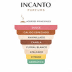 Pirámide olfativa Liquid Brun: notas de canela, especias y un fondo de vainilla alicorada.