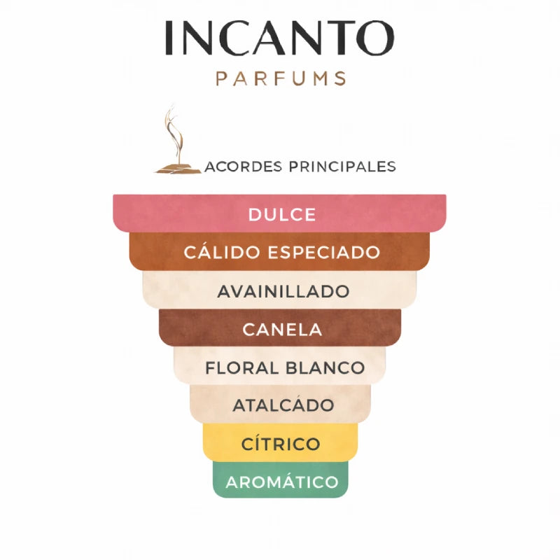 DECANT PARIS CORNER LIQUID BRUN