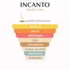 Notas de Summer Hammer: mango, piña, ron y coco en composición artística.