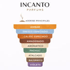 Composición de The Race 2.0: notas cítricas frescas, lavanda y maderas ligeras.