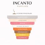 Notas olfativas: mandarina, pera, jazmín, sándalo y ámbar.