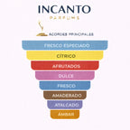 Pirámide olfativa Tous Man: notas de naranja, jengibre, pimienta de Sichuan y maderas.