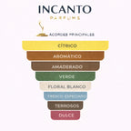 Notas de Tous Man Les Colognes: pomelo verde, menta fresca y madera de guayaco.