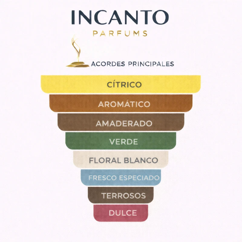 Notas de Tous Man Les Colognes: pomelo verde, menta fresca y madera de guayaco.