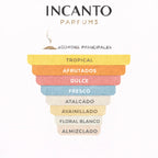 Notas olfativas de Coro Xerjoff: mezcla de frutas dulces, notas florales y ámbar.