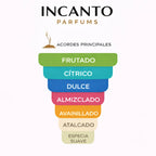 Notas olfativas de Erba Pura Xerjoff: frutas mediterráneas, ámbar y vainilla blanca.