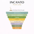 Composición de Torino 21 Xerjoff: menta fresca, albahaca y cítricos energizantes.