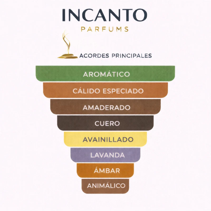 Ingredientes de La Nuit de l'Homme EDP: cardamomo negro, haba tonka y sándalo ambarado.