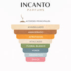 Pirámide olfativa Manifesto: grosellas negras, jazmín, vainilla, haba tonka y sándalo.