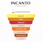 Ingredientes de Xerjoff Naxos: visualización de lavanda, miel de Sicilia y haba tonka.